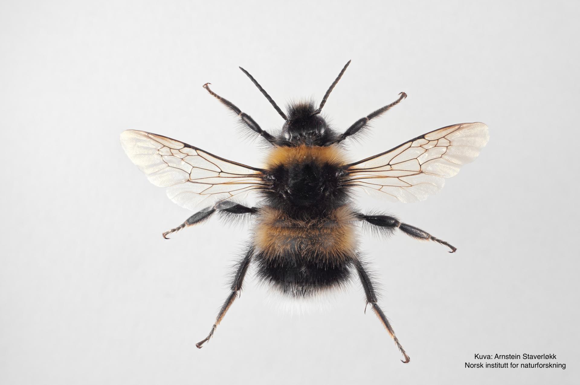 SPS - tunturiseurannat.fi