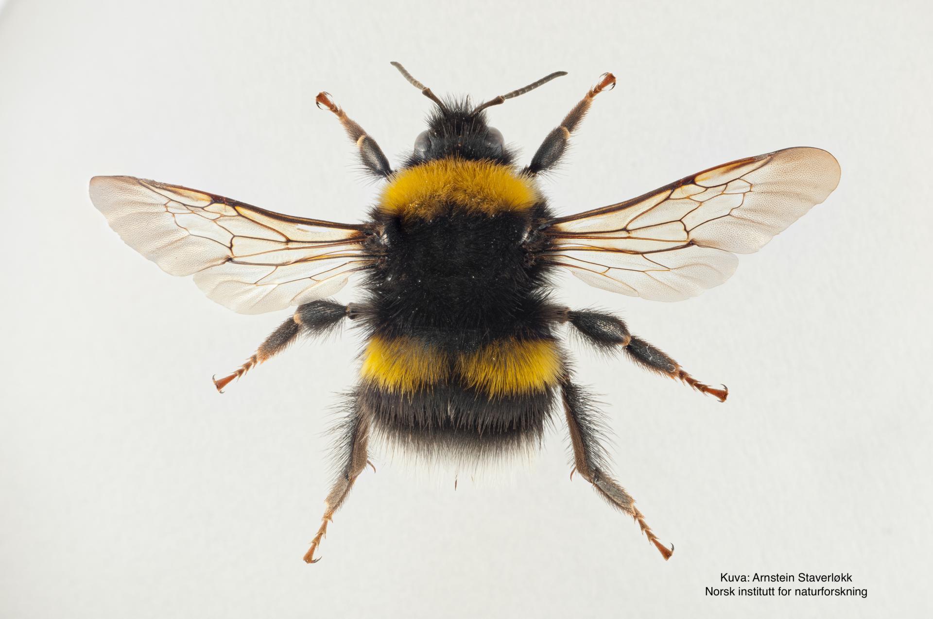 SPS - tunturiseurannat.fi