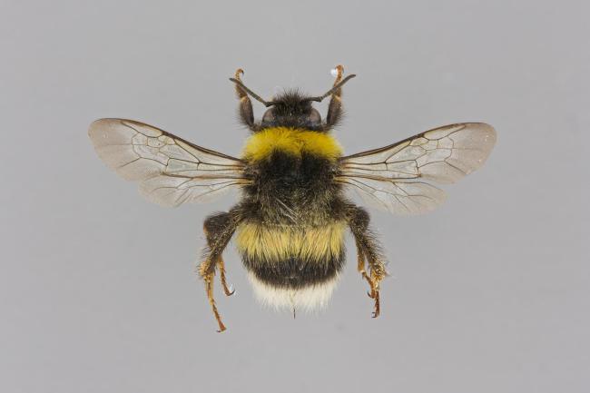 SPS - tunturiseurannat.fi